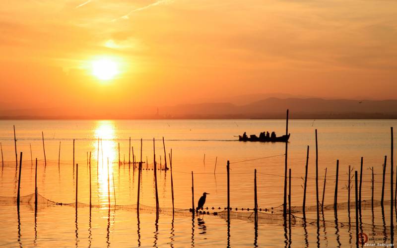 La Albufera - Foto: Javier Rodríguez