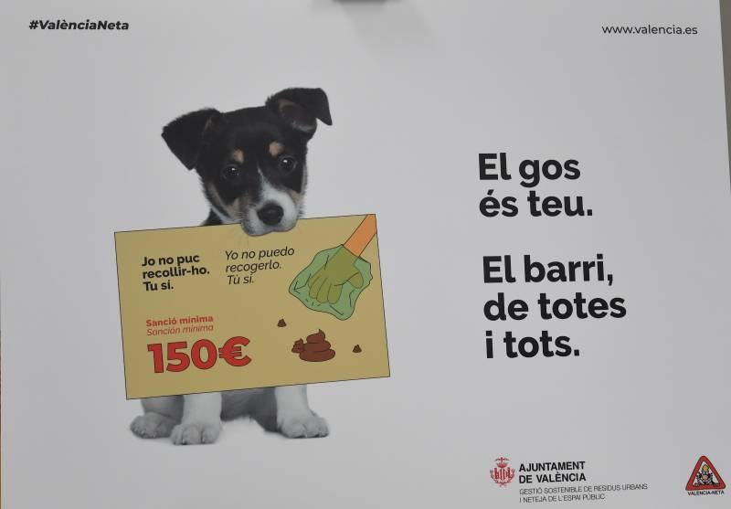 Pie de foto