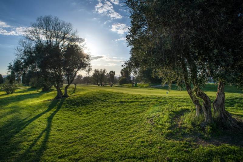 Campo de Golf Oliva Nova