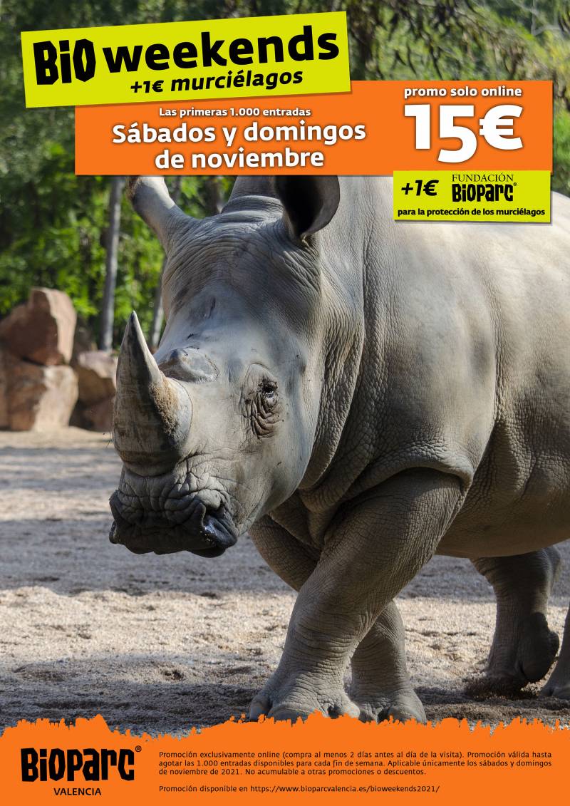 Cartel de los BIOweekends noviembre 2021 BIOPARC Valencia.