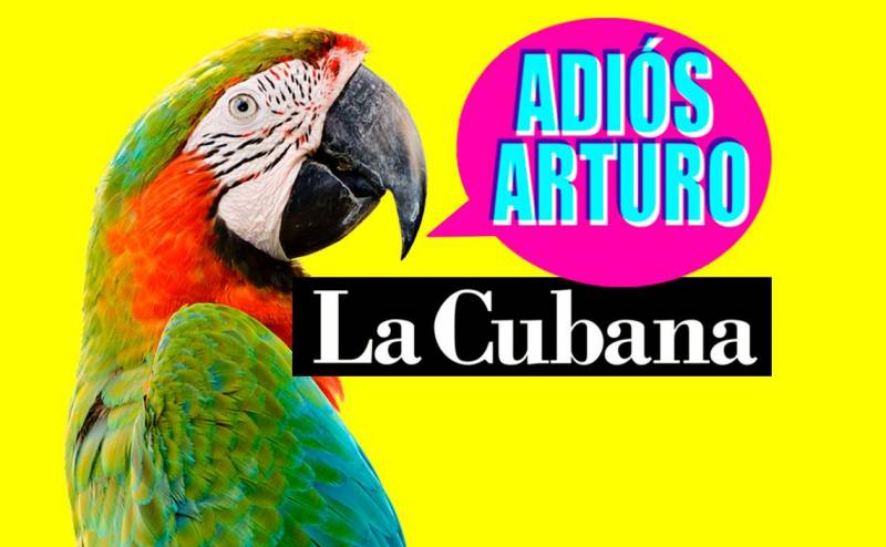 Adiós Arturo, La Cubana