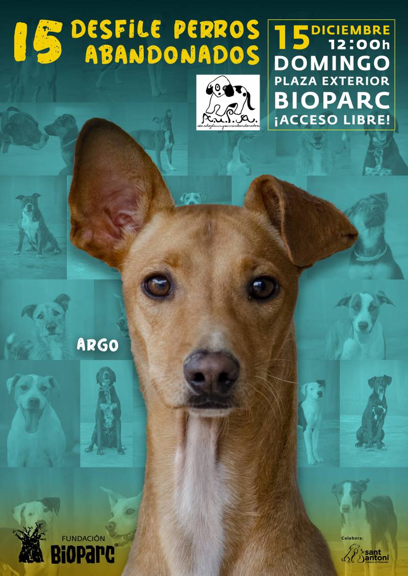 Cartel desfile de perros abandonados AUPA - Diciembre 2019