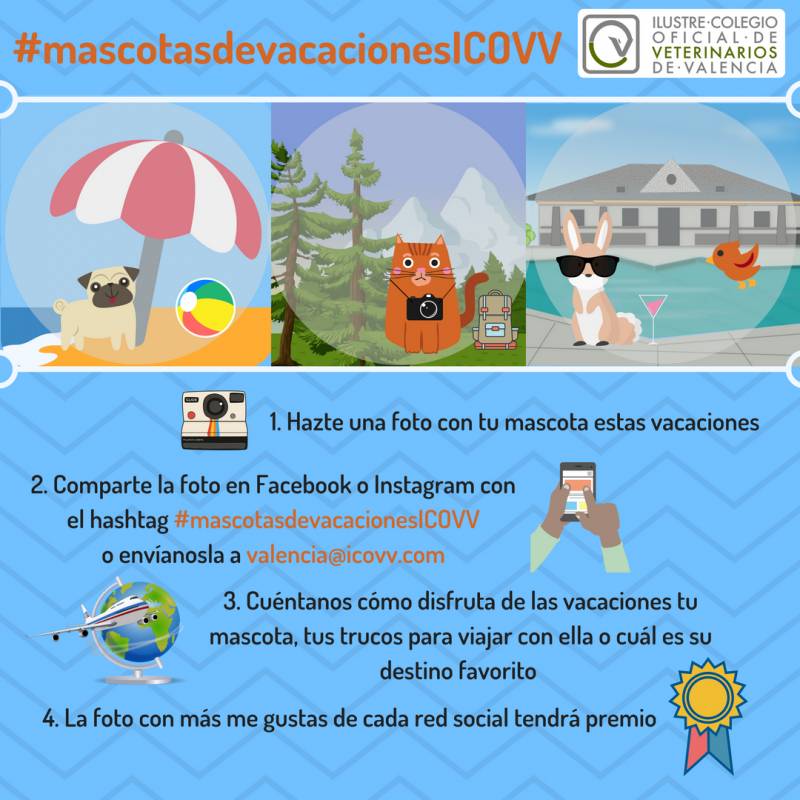 Campaña verano ICOVV 