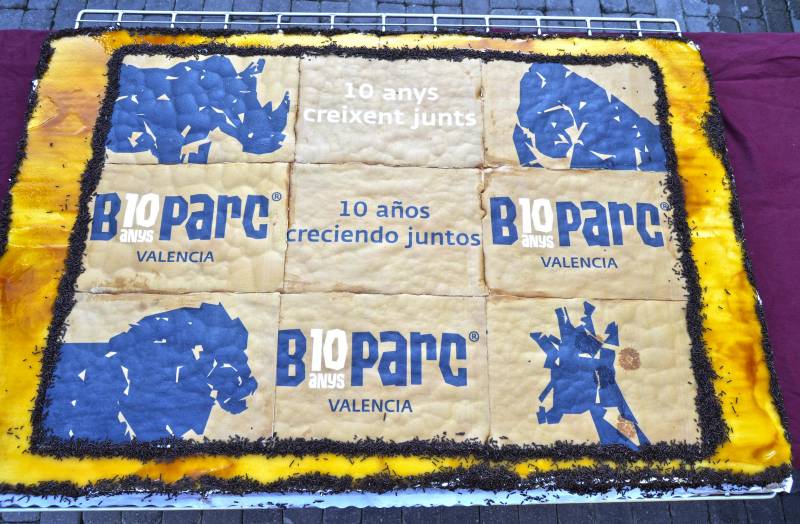 Pie de foto