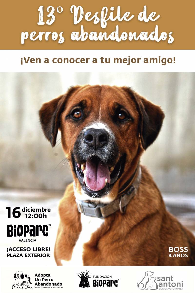 Pie de foto