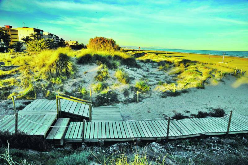 Playa de Canet con sus dunas carácterísticas.