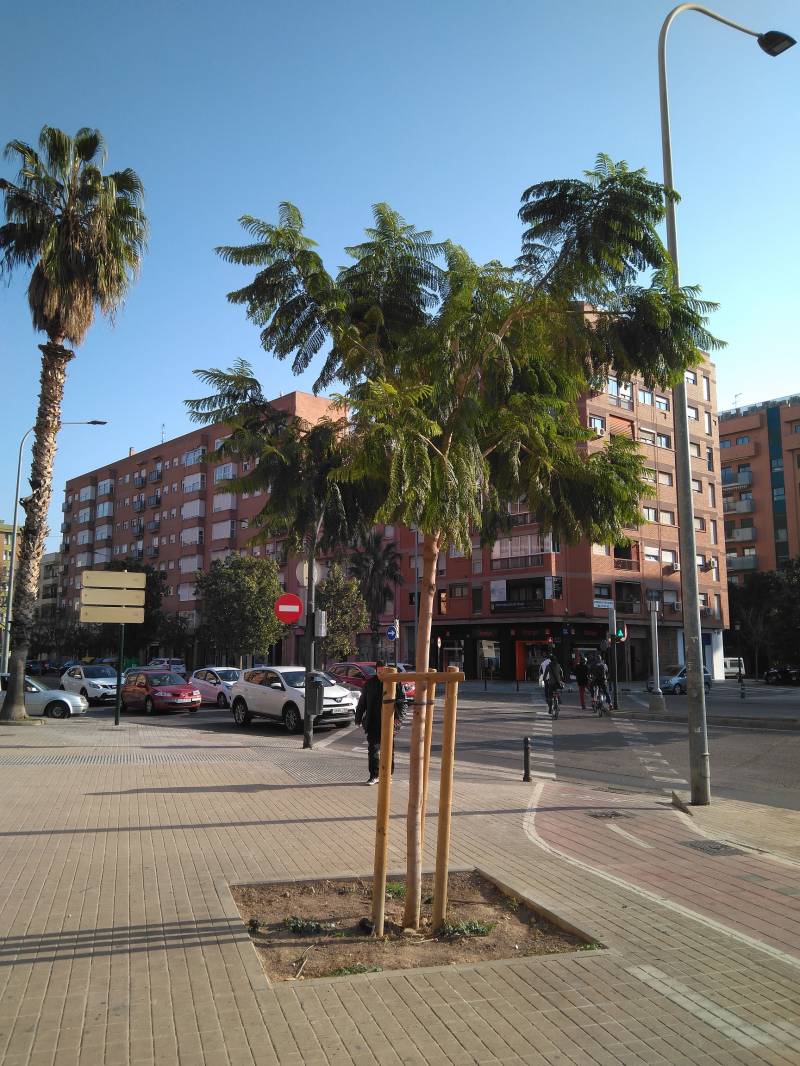 Pie de foto