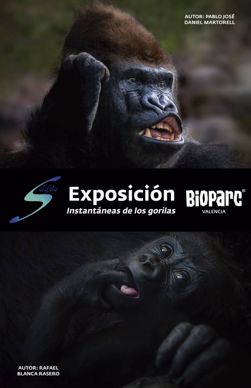 Cartel Exposicion Fotografica Solofoto - BIOPARC Valencia 2019