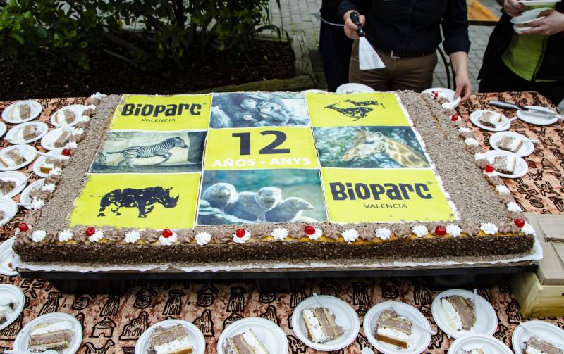Febrero 2020 - BIOPARC Valencia - tarta 12 aniversario
