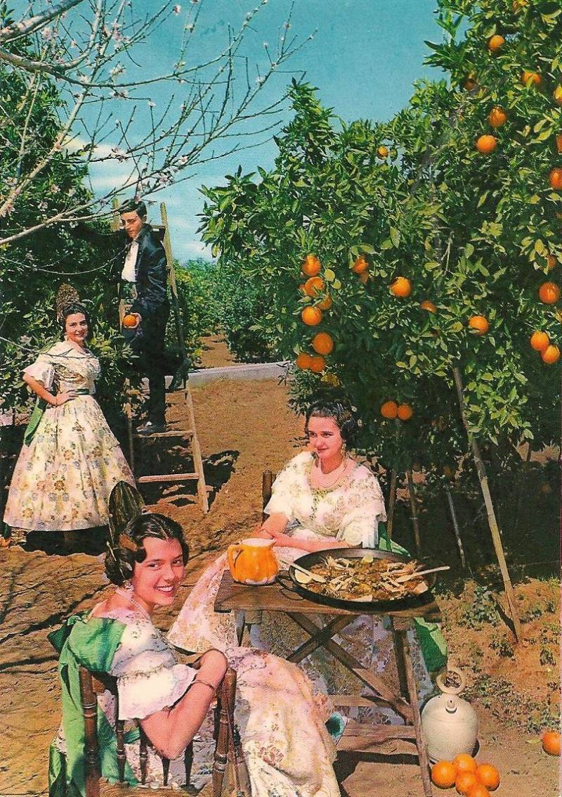 Postal De Paella en un huerto de naranjos. València, 1964.