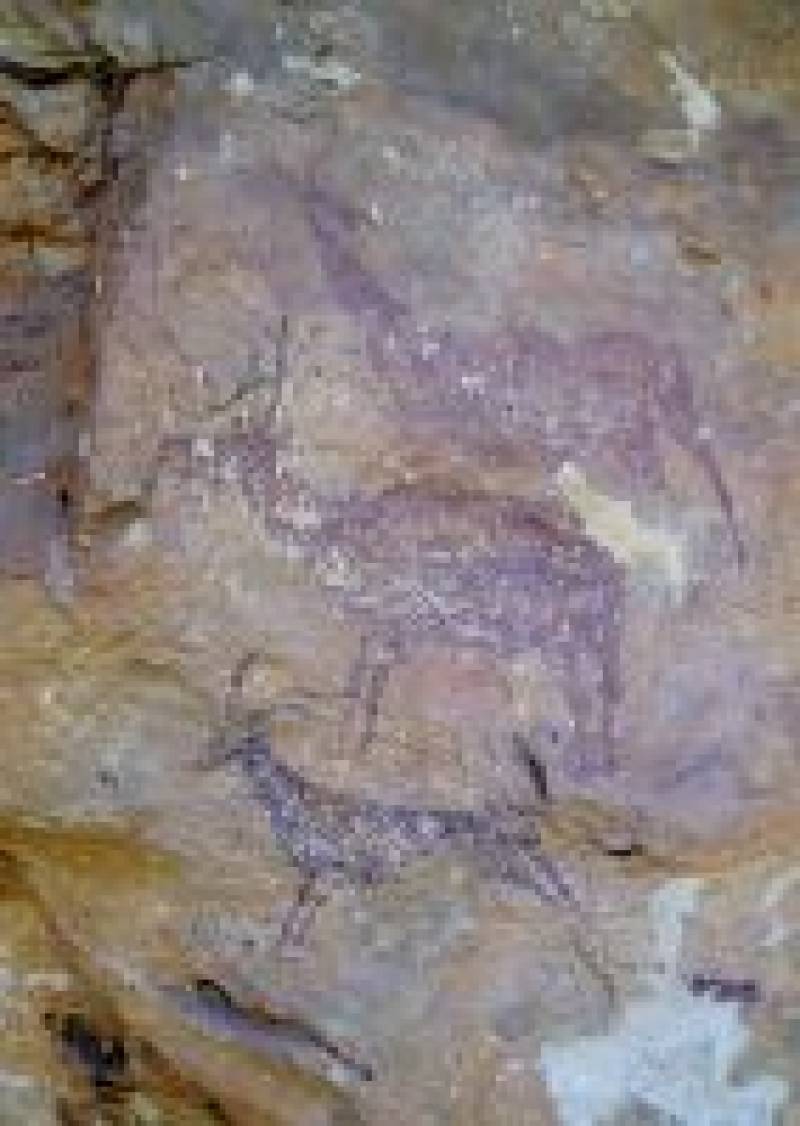 Cueva Araña, Bicorp