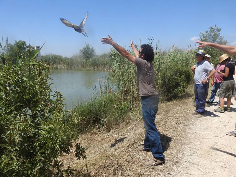 Suelta de especies en l