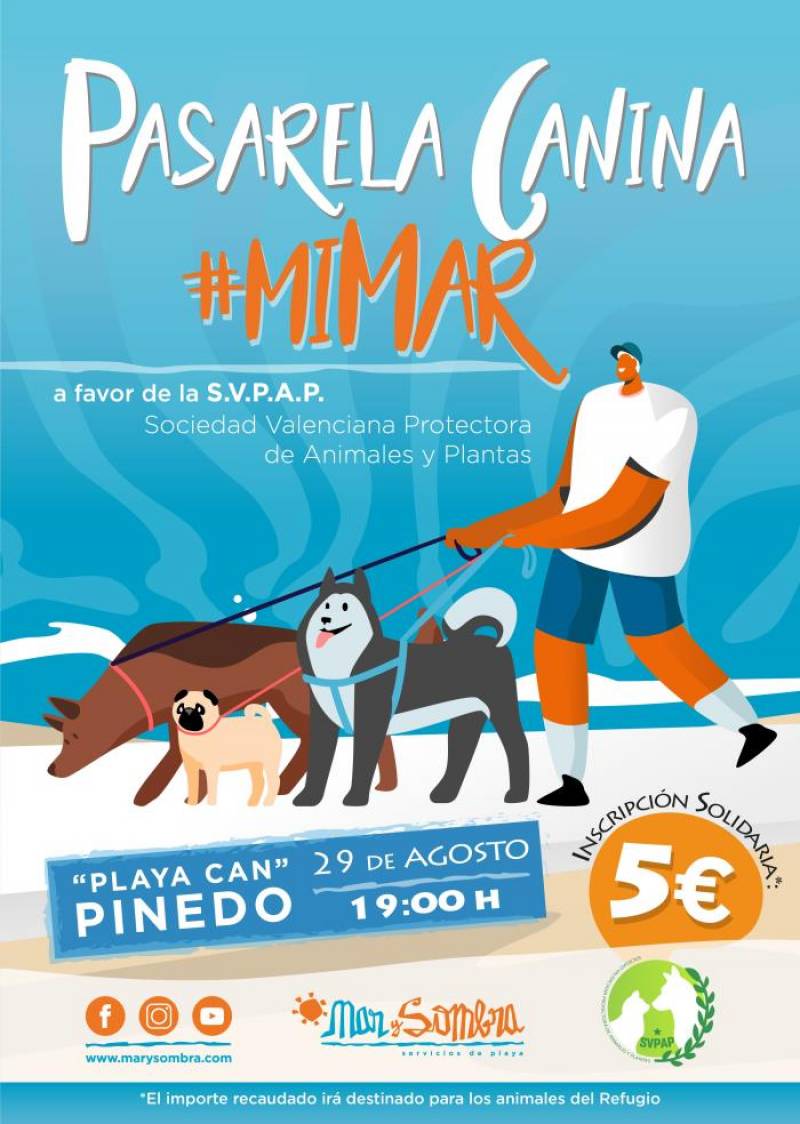 La playa de perros de Pinedo acoge la primera pasarela canina solidaria. EFE