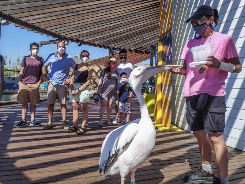 Autoridades visitando el oceanográfico. //viu valència