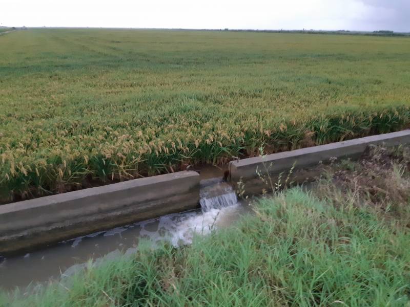 Desaigüe Albufera