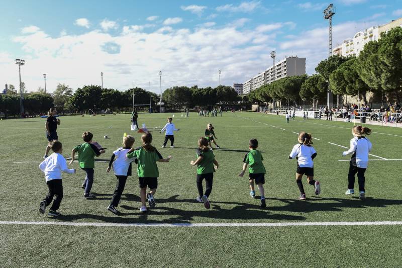 Balance escuelas verano FDM