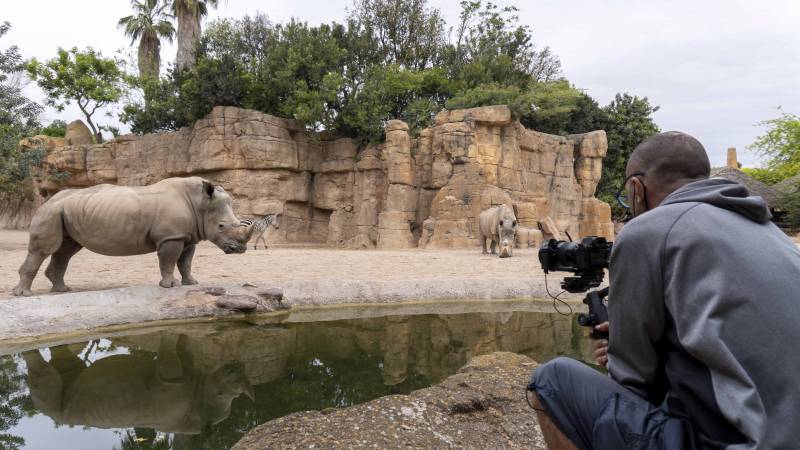 Grabando las escenas en el Bioparc. EPDA.