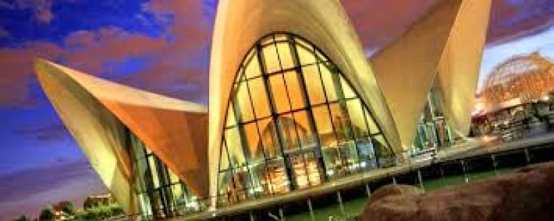 Oceanográfico de Valencia. //Viu Valencia Oceanográfico de Valencia. //Viu Valencia