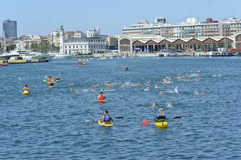 Travesía a nado, Puerto de Valencia