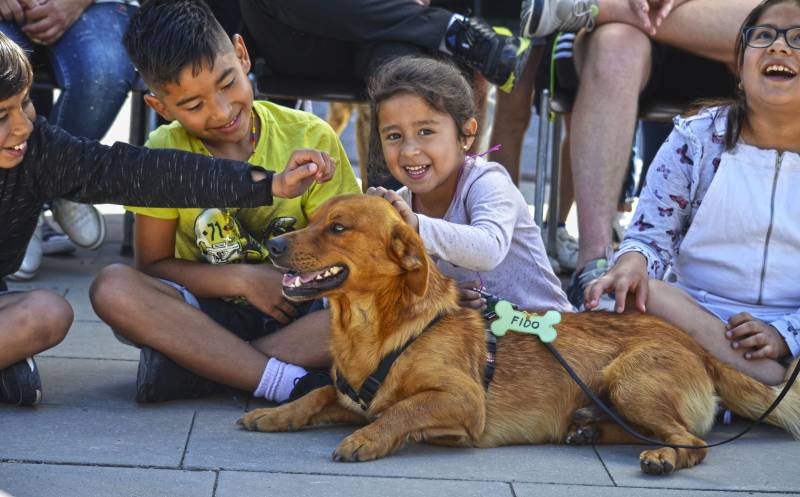 14 desfile solidario AUPA - BIOPARC para fomentar las adopciones de perros abandonados 