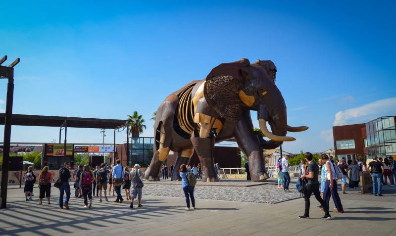EAZA Septiembre 2019 Visita BIOPARC Valencia - escultura de Escipión EAZA Septiembre 2019 Visita BIOPARC Valencia - escultura de Escipión