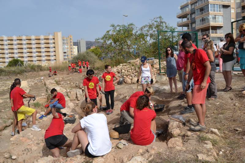 IVAJ, campos voluntariado