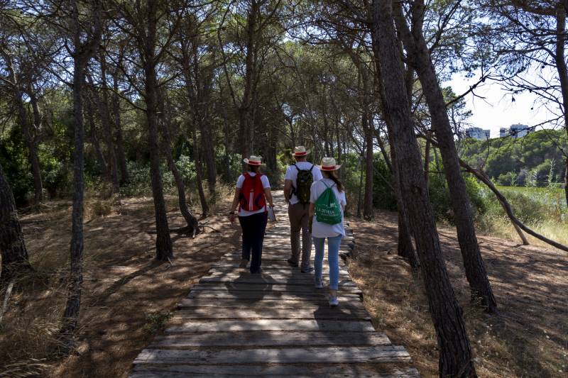 Voluntariado medio ambiental 