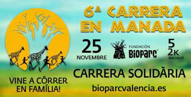 6 CARRERA EN MANADA 6 CARRERA EN MANADA