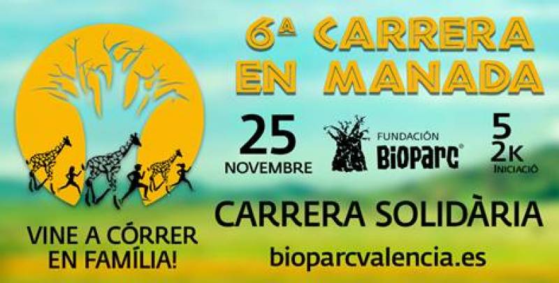 6 CARRERA EN MANADA