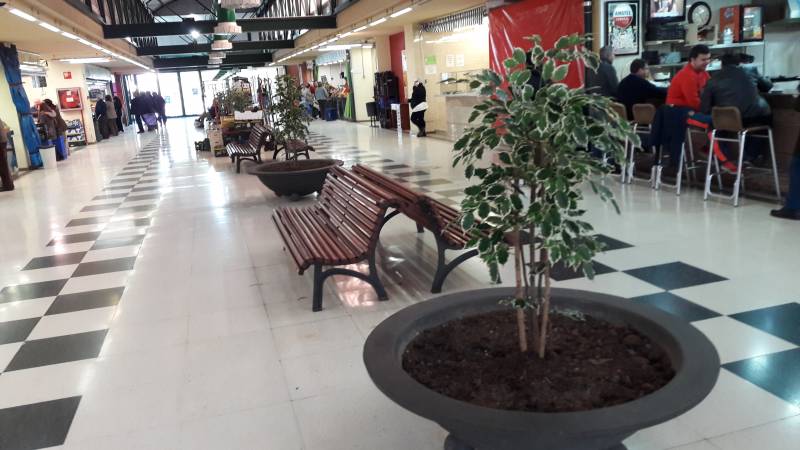 Nuevas plantas en el Mercat de Castella