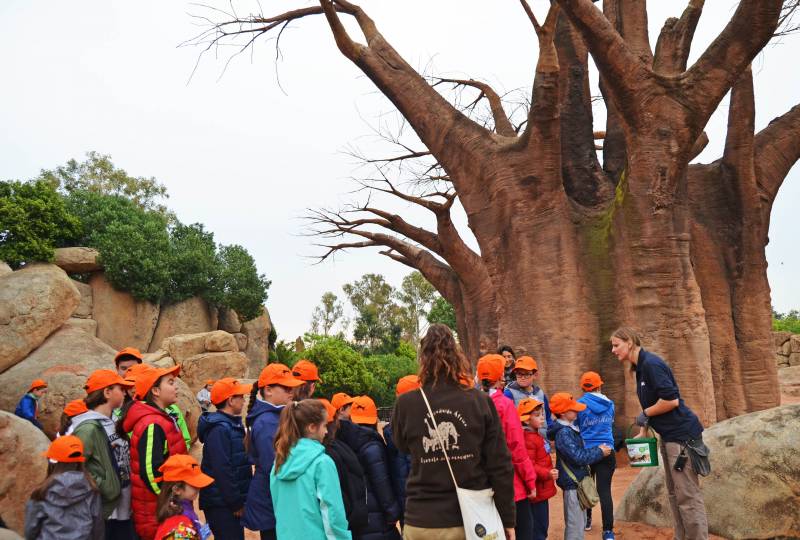 Comienza la escuela de Pascua de BIOPARC Valencia Expedición África 2019