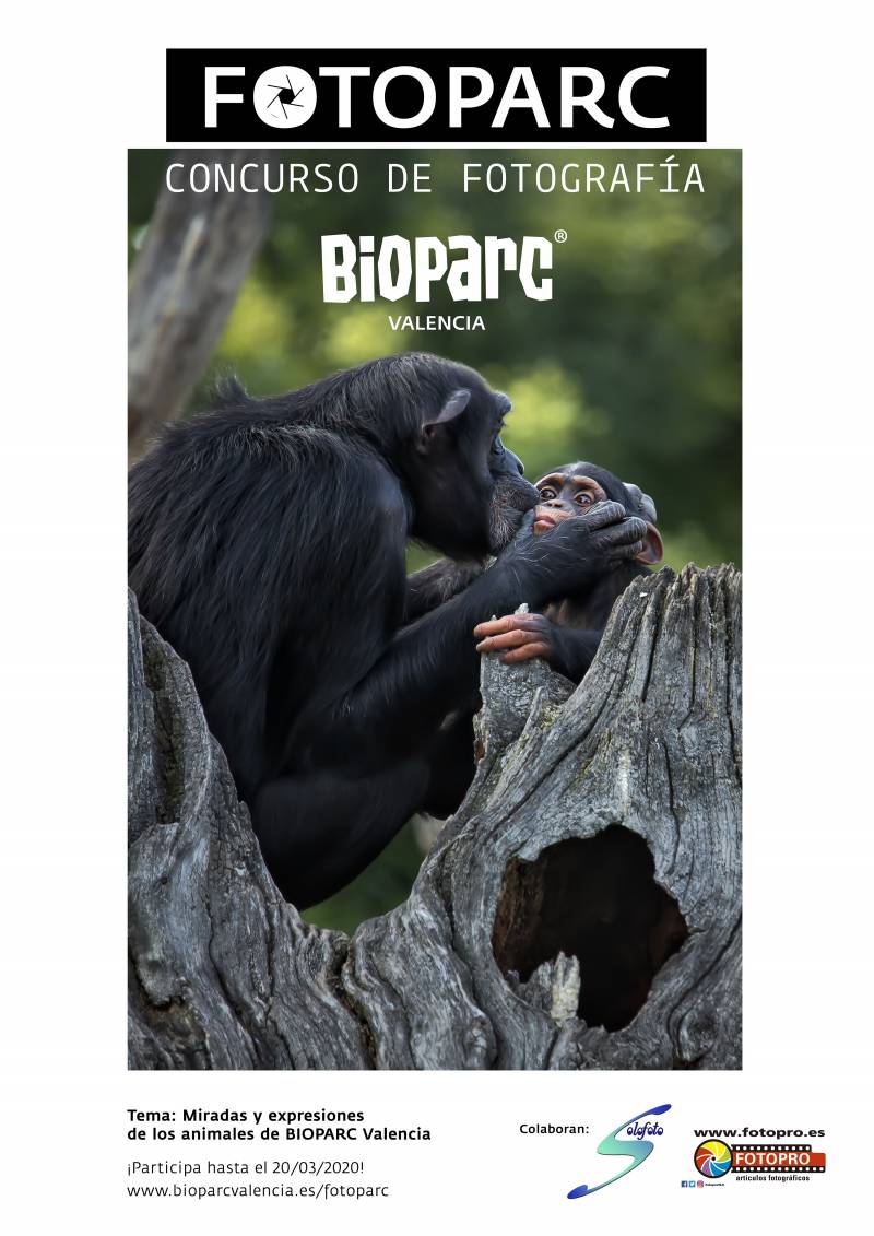 Cartel FOTOPARC 2020 - Concurso de fotografía de BIOPARC Valencia