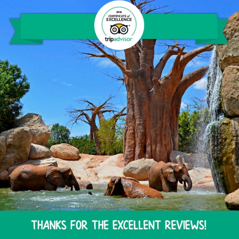 BIOPARC Valencia - Certificado Excelencia TripAdvisor 2018