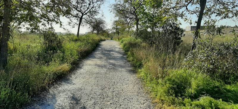 Ampliació del Parc Natural del Túria.