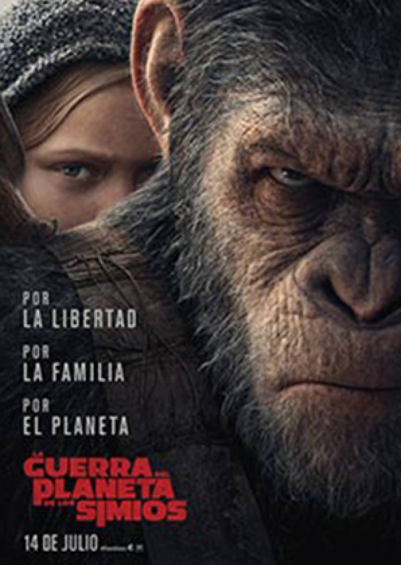 Cartel de la Película