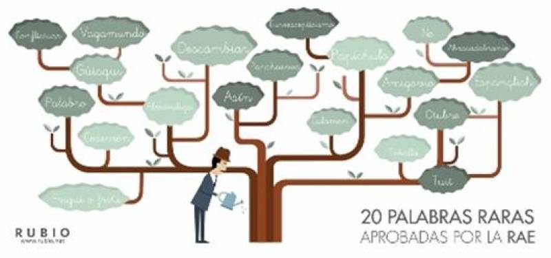 20 palabras raras aprobadas por la RAE