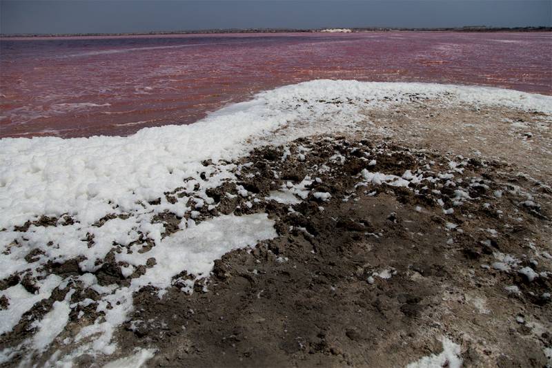 Las Salinas de Torrevieja // Adela Talavera