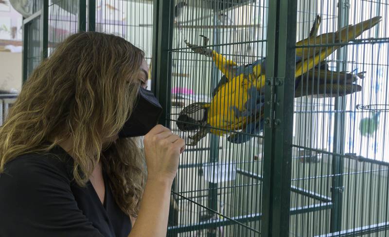 La regidora de Benestar Animal, Glòria Tello al centre de fauna exòtica de Natzaret. EPDA