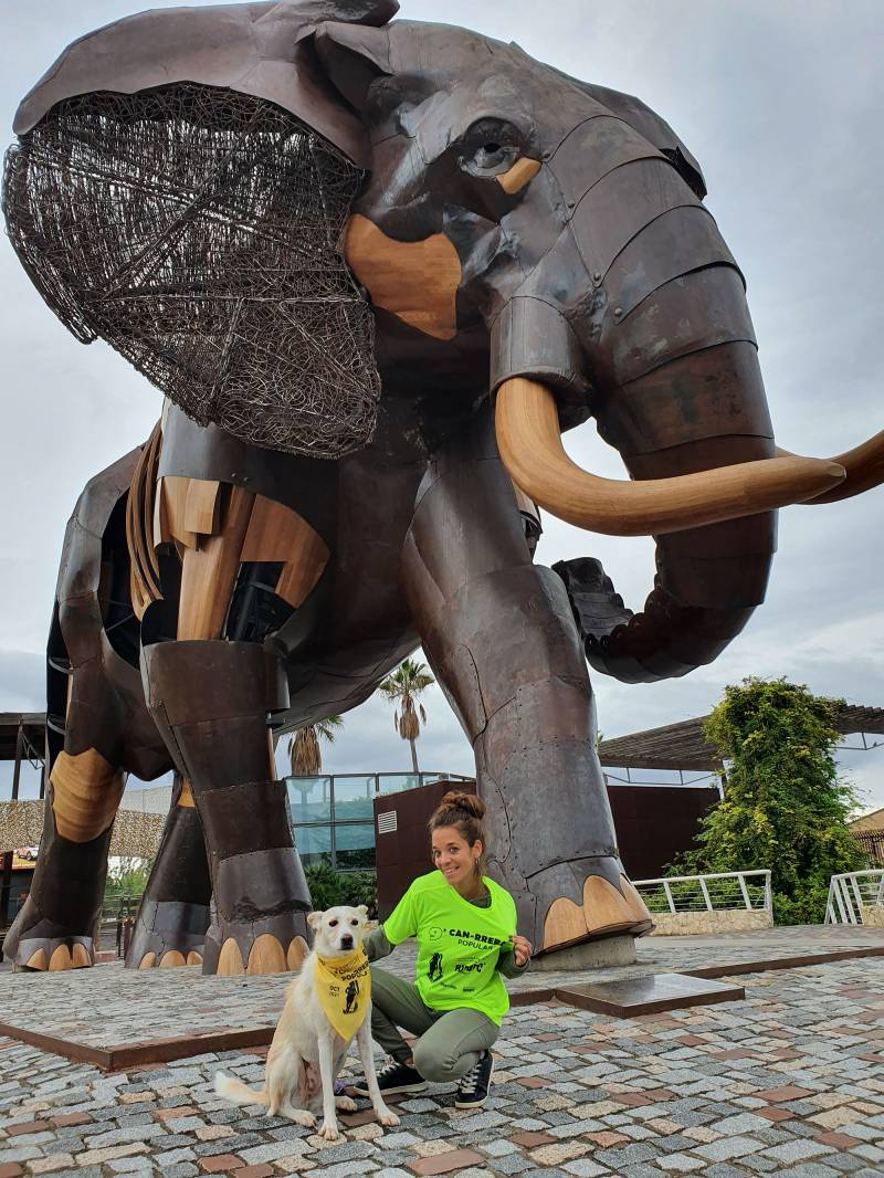 Foto de los participantes nº9 de la CANRRERA solidaria de BIOPARC Valencia 2021.