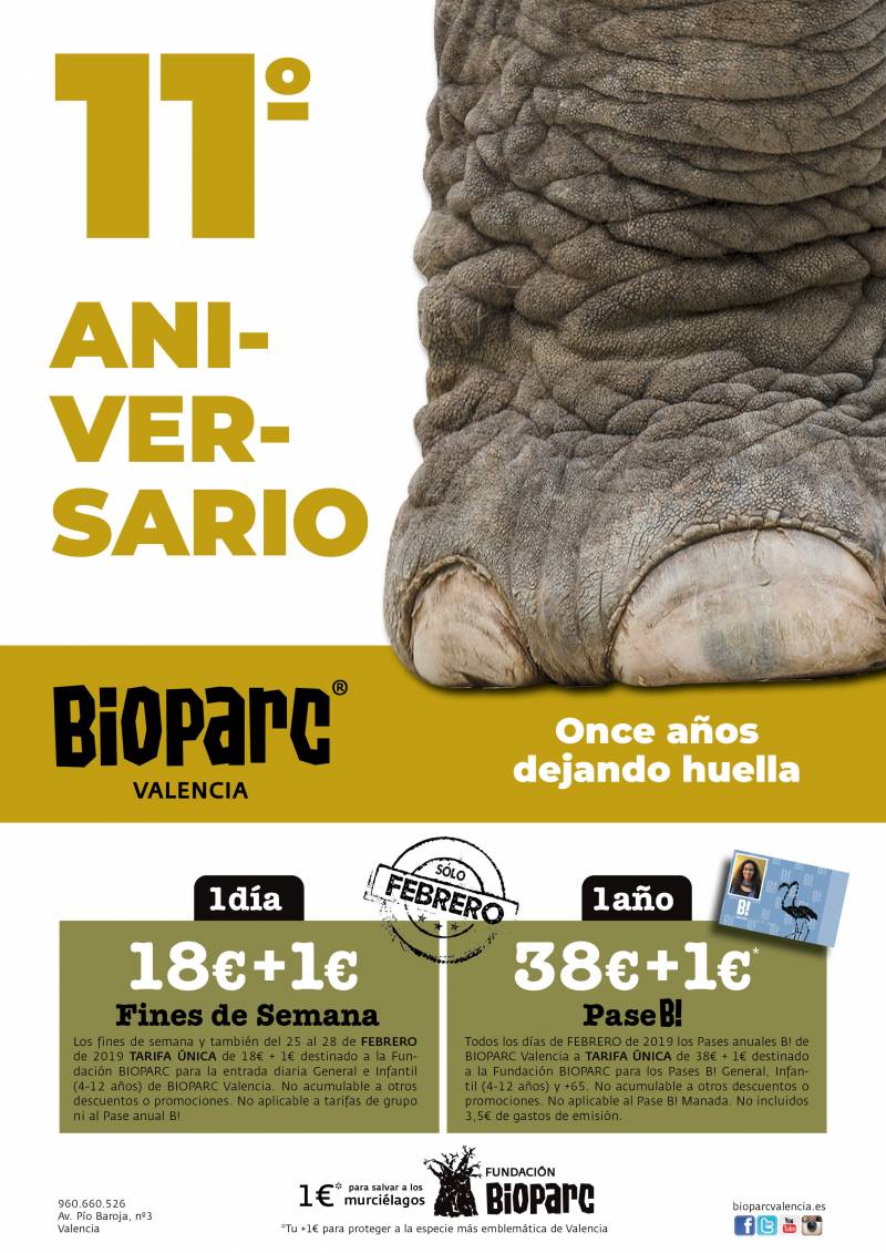 11º ANIVERSARIO BIOPARC Valencia