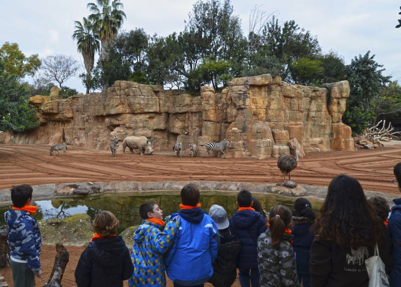 BIOPARC Valencia - Expedición África Navidad 2018 - Escuela de vacaciones