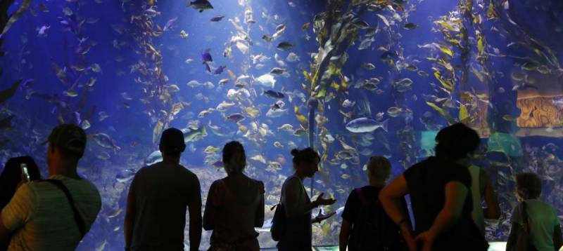 Imagen de archivo Oceanogràfic, València./ EPDA