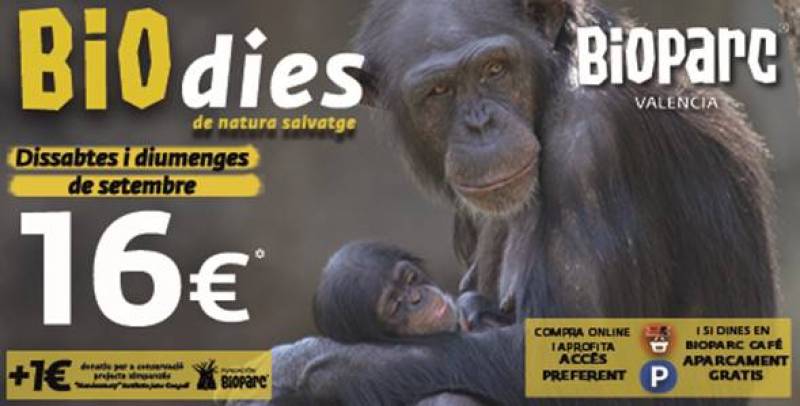 Bioparc Valencia Bioparc Valencia