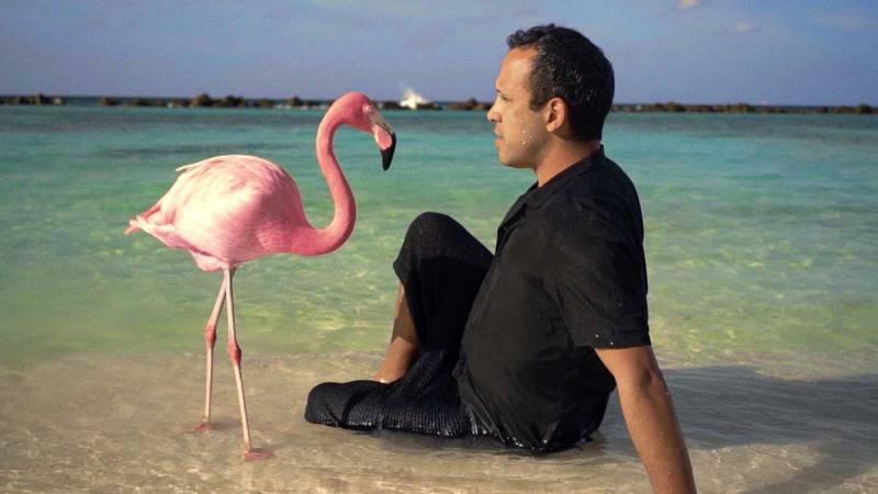 ?The mystery of the Pink Flamingo?./ EPDA
