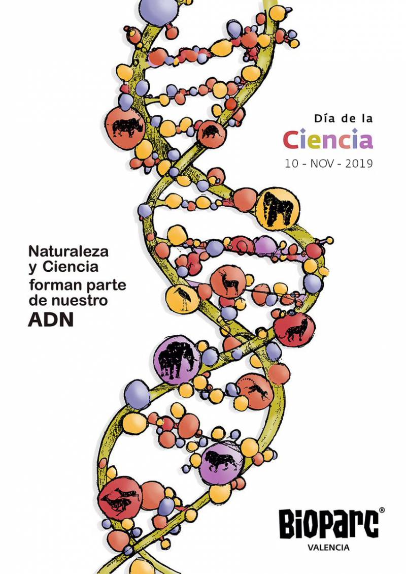 Día de la ciencia - BIOPARC Valencia 2019 - Cartel Día de la ciencia - BIOPARC Valencia 2019 - Cartel
