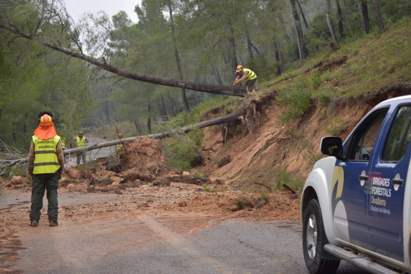 Brigadistas de Divalterra despejan el camino de acceso a la Batida de les Alcusses