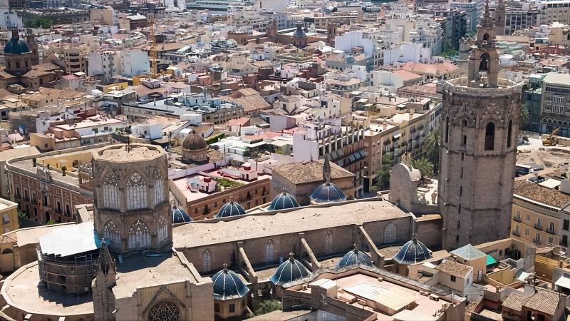 Nuestras mascotas forman parte de nuestro hogar