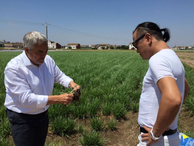 Chez Shibata y Ramón Panach