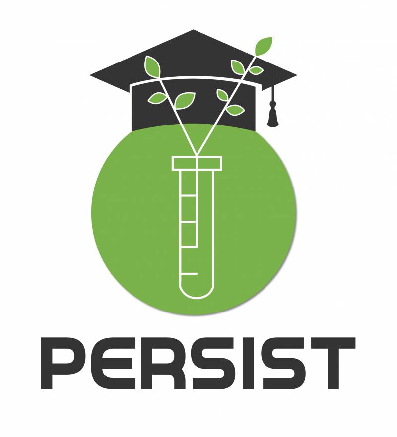Logo Persist