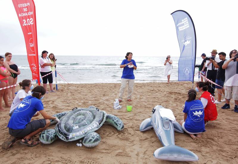 Campaña de Varamientos 2017 Gandia